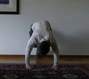 Wall supported handstand pushups - The Body Dojo