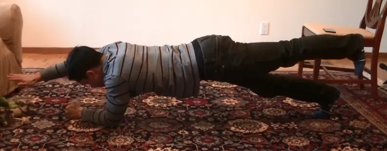 8 One Arm One Leg Plank